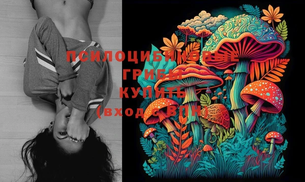 ешки Балахна