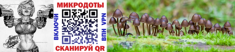 Псилоцибиновые грибы Psilocybe Вуктыл